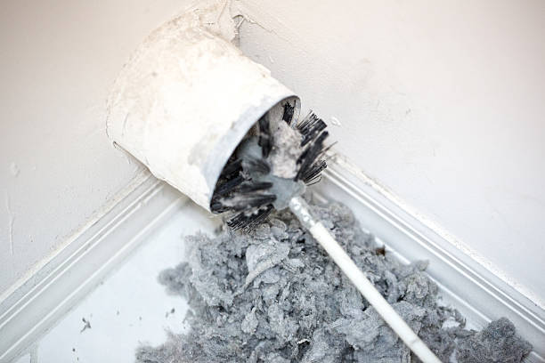 Air Duct Mold Removal in Georgetown, IL