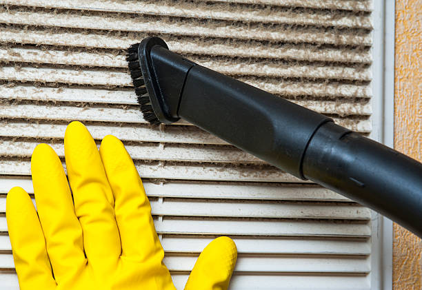Best HVAC Duct Inspection Services  in Georgetown, IL